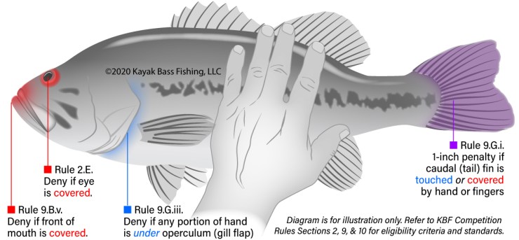 bass-no-touch-20200515